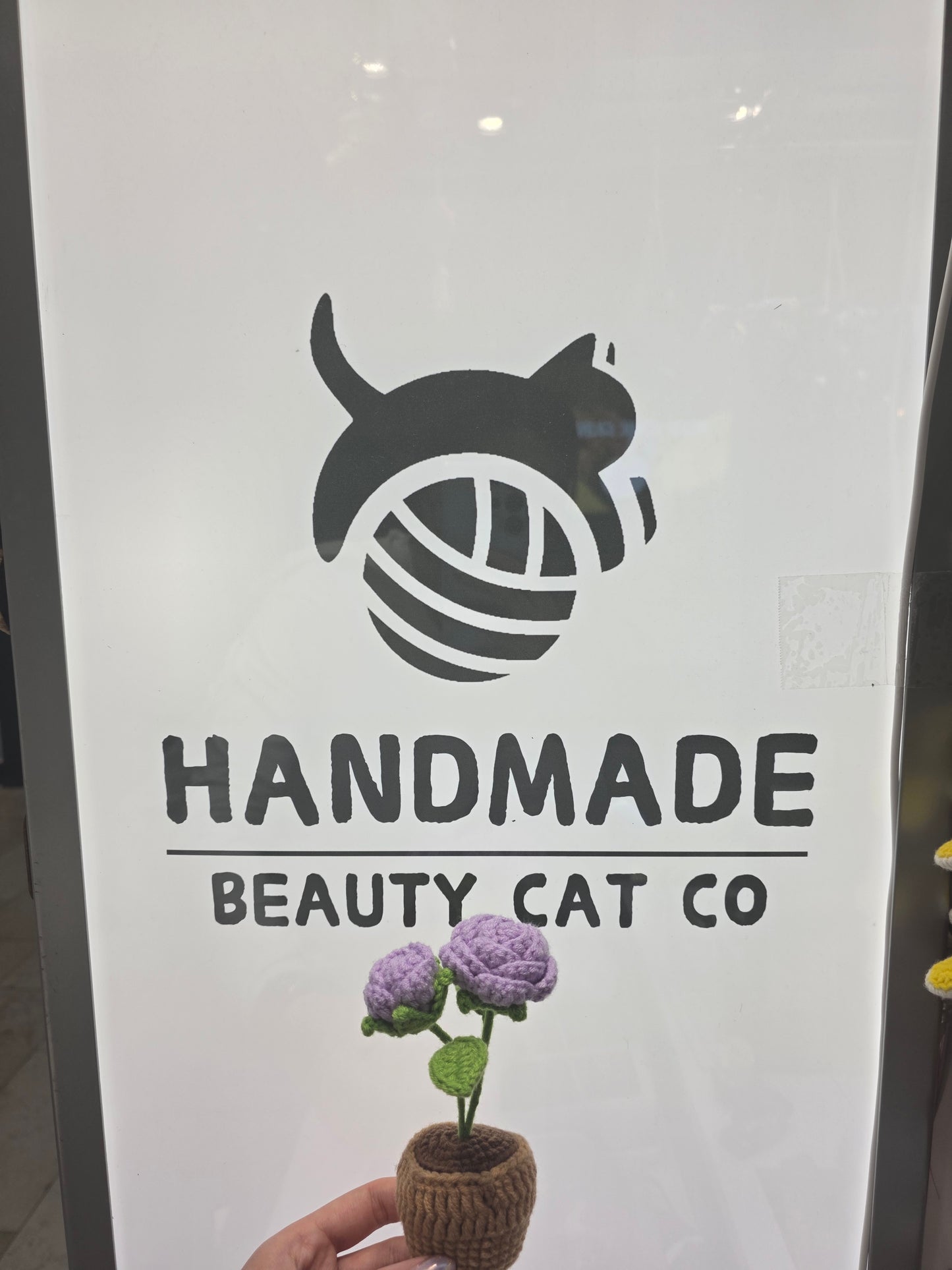 Desktop flower pots