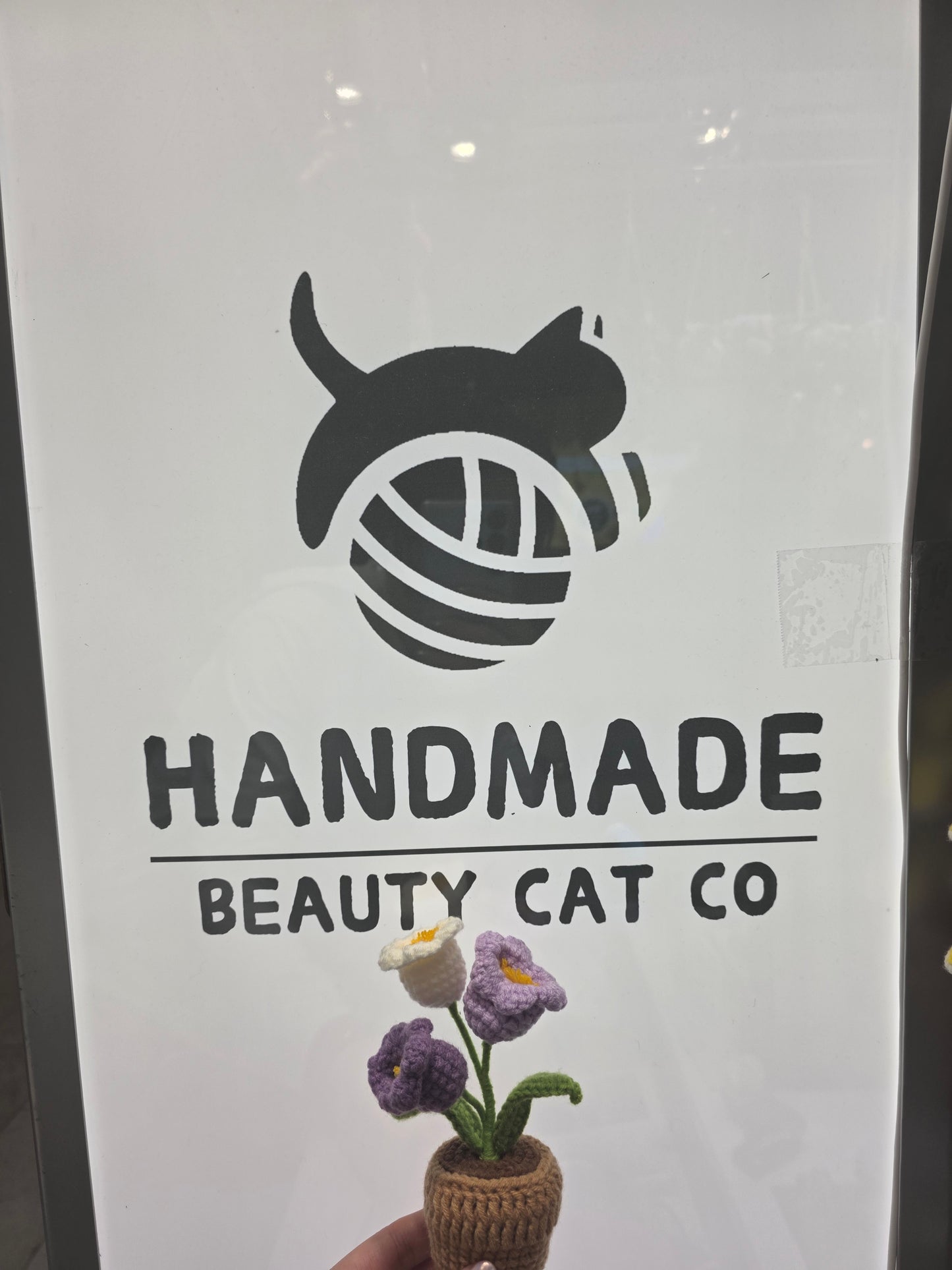 Desktop flower pots