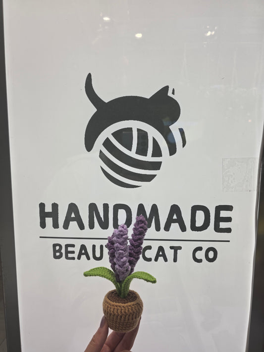 Desktop flower pots