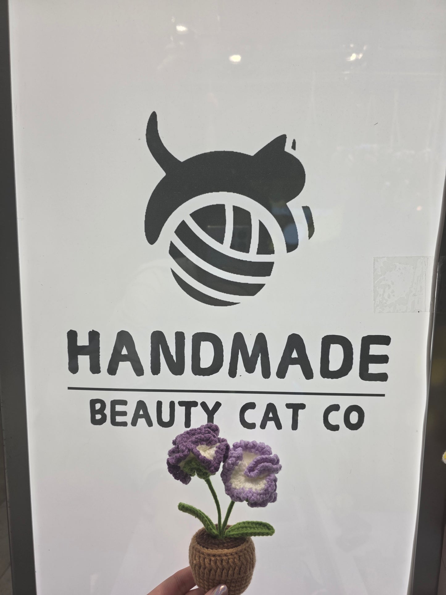 Desktop flower pots
